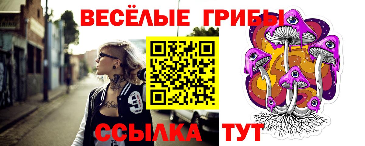 Галлюциногенные грибы Psilocybine cubensis Острогожск