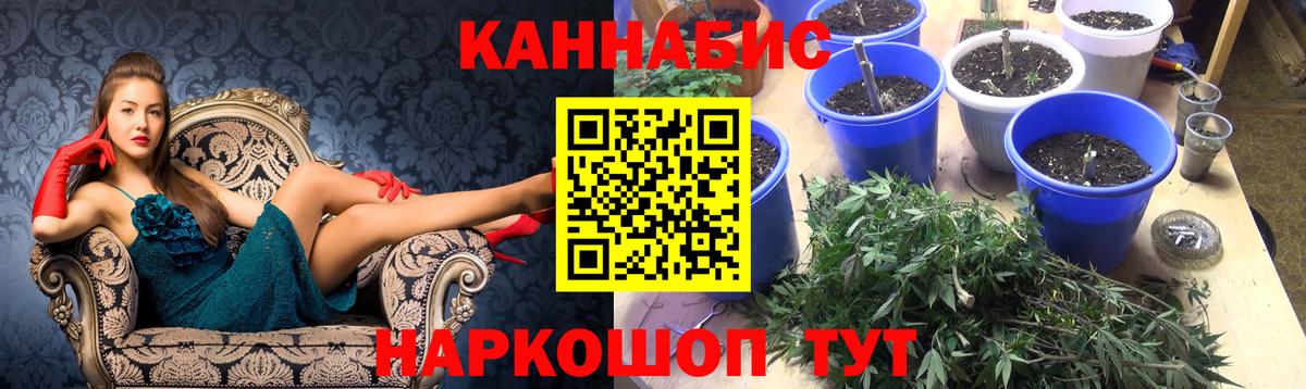 Бошки марихуана THC 21%  МАРИХУАНА планчик  Острогожск  Вход с VPN  Марихуана Ganja 
